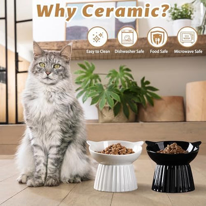 Ceramic Raised Cat Bowl，Tilted Raised Bowl Anti Vomit Bowls for Indoor Cats Whisker Friendly Pet Feeder for Cats Puppies, Microwave and Dishwasher Safe - Image 6