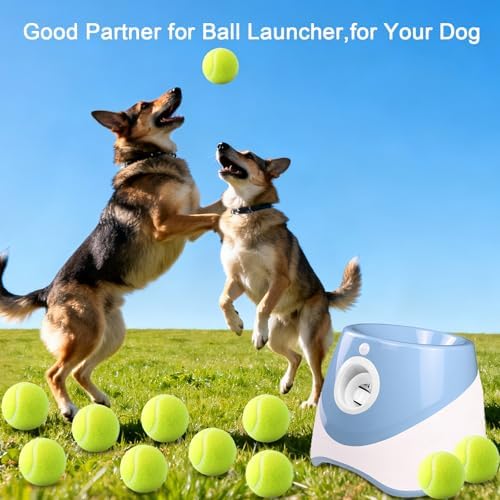 10 Pack of 2 Inch Mini Tennis Balls for Small Dogs, Fetch & Chew Toys, Compatible with 2" Automatic Ball Launchers for Interactive Play (Green 2) - Image 3