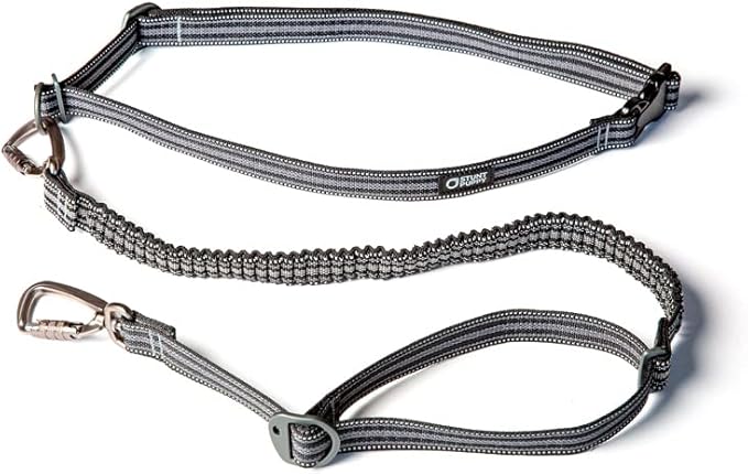 Stunt Puppy Go Dog Glo Runner Hands-Free Leash, Black
