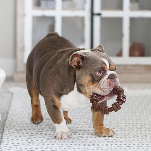 Nylabone Power Chew Customer Favorites Dog Chew Toys, 3 Count, Large - Image 2