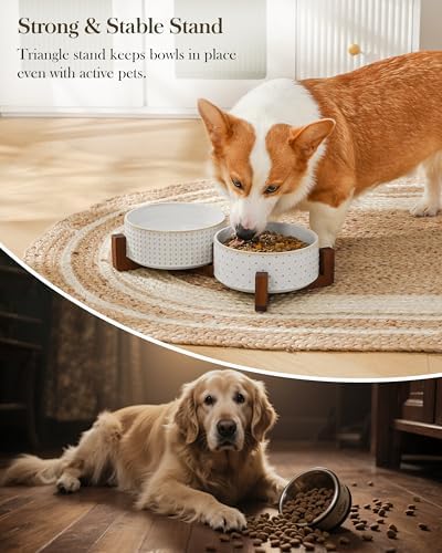 MALACASA Dog Bowl Set, Ceramic Bowls with Walnut Wood Stand, 4 Cups - Image 6