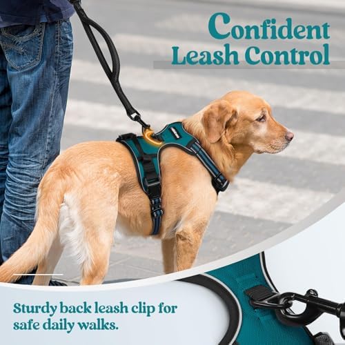 rabbitgoo Dog Harness No Pull with 2 Leash Clips, Adjustable Soft Padded, Reflective Oxford No Choke Pet Vest with Easy Control Handle for Large Dogs, Blue Coral, XL - Image 6