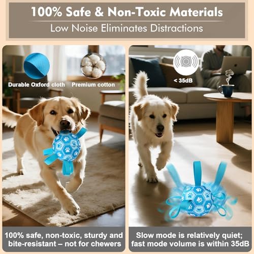 Interactive Dog Toys Dog Soccer Ball to Keep Them Busy(Blue) - Image 5