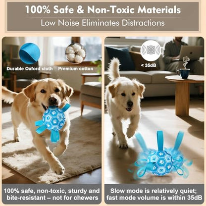 Interactive Dog Toys Dog Soccer Ball to Keep Them Busy(Blue) - Image 5