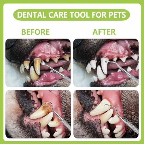 8 Pcs Dental Tools Pet Dog Teeth Cleaning Tool Kit, Stainless Steel Dental Picks Mouth Mirror Tooth Scraper Plaque Tartar Remover, Pets Oral Care Hygiene Set for Dogs and Cats Use with Case - Image 5