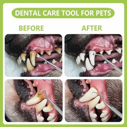 8 Pcs Dental Tools Pet Dog Teeth Cleaning Tool Kit, Stainless Steel Dental Picks Mouth Mirror Tooth Scraper Plaque Tartar Remover, Pets Oral Care Hygiene Set for Dogs and Cats Use with Case - Image 5