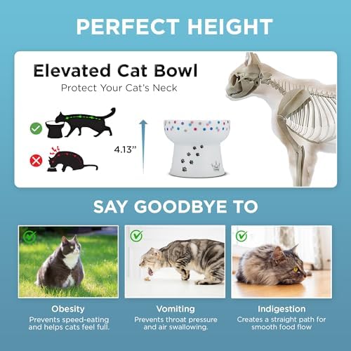 Necoichi Ceramic Elevated Cat Water Bowl, Whisker-Friendly (Colorful Dots, Extra Tall) - Image 5