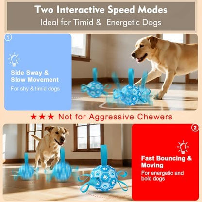 Interactive Dog Toys Dog Soccer Ball to Keep Them Busy(Blue) - Image 2