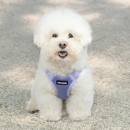 Voyager Step-in Flex Adjustable Dog Harness - Lavender, Large - Image 7