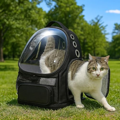 Amazon Basics Pet Carrier Backpack for Small Cats & Dogs, Collapsible Travel Carrier with Bubble Window & Breathable Mesh, Foldable for Travel, Black - Image 5