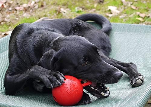Jolly Pets Tug-n-Toss Heavy Duty Dog Toy Ball with Handle, 4 Inches/Petite, Red - Image 2