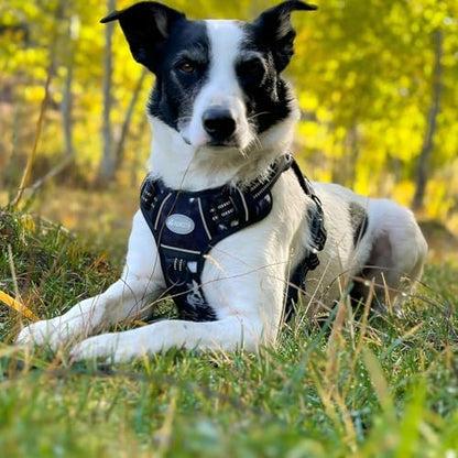 AUROTH Tactical Dog Harness for Small Medium Large Dogs No Pull Adjustable Pet Harness Reflective K9 Working Training Easy Control Pet Vest Military Service Dog Harnesses (XL, Black Ink) - Image 6