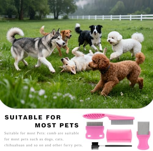 Flea & Lice Combs for Pets – Fine-Tooth Stainless Steel Grooming Set, Dematting Tools for Dogs and Cats – 5 Pack - Image 6