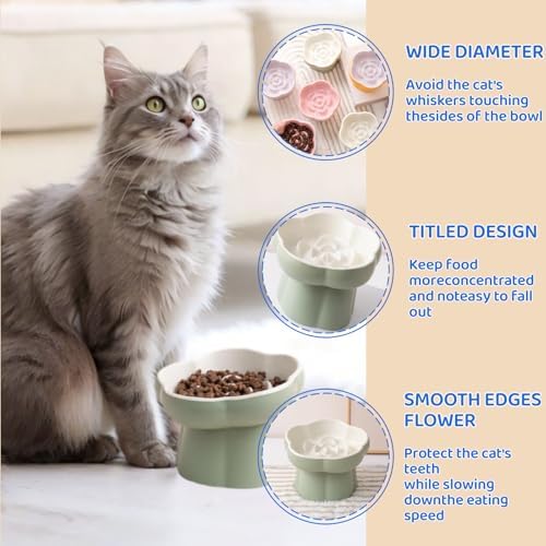 Ceramic Elevated Slow Feeder Cat Bowl,Anti Vomit Design for Whisker Fatigue Relief,Elevated Slow Feeder Bowls for Indoor Cats&Small Breeds,Perfect for Wet Food&Small Dogs (2, Green and Blue) - Image 6