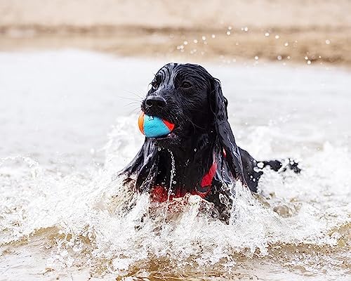 Chuckit! Amphibious Fetch Balls (Set of 3) Paraflight Flying Disc Dog Toy, Large (9.75") - Image 4