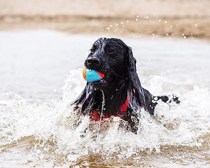 Chuckit! Amphibious Fetch Balls (Set of 3) Paraflight Flying Disc Dog Toy, Large (9.75") - Image 4