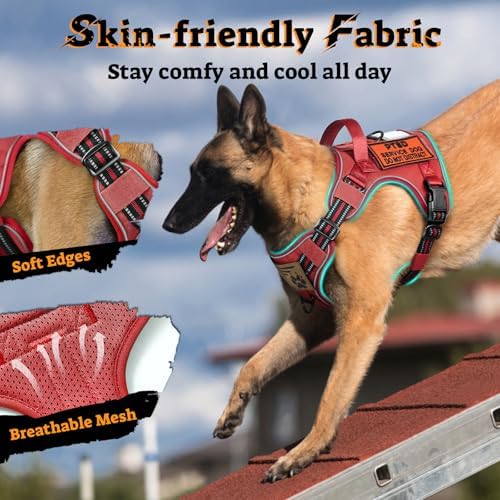 rabbitgoo Tactical Dog Harness for Small Dogs, No Pull Service Pet Vest - Image 6