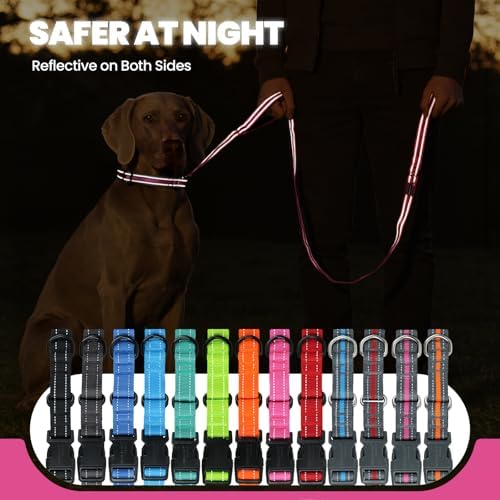 VIVAGLORY Double Handle Dog Leash Twingrip, 5ft x 1in, M2, Pink Grey - Image 5