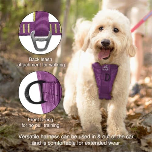 Kurgo Enhanced Strength Tru-Fit Smart Harness, Deep Violet, Medium - Image 4
