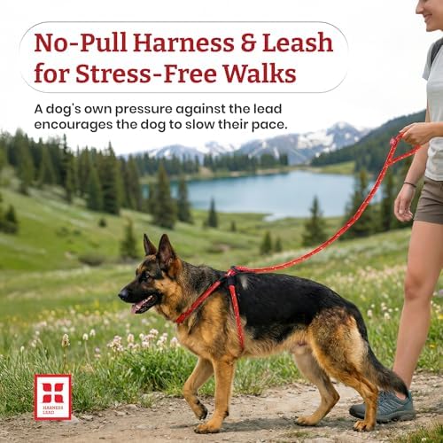 Harness Lead No Pull Dog Harness and Leash Set, Anti Pull Dog Harness, One-Piece Cushioned Rope Safely Prevents Escaping and Pulling (Extra Large, Black Reflective) - Image 2