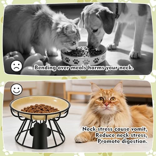 Shallow Cat Dishes with Metal Stand,Elevated Cat Bowl,Ceramic Cat Bowls,Raised Cat Food Bowls,Pet Feeder for Indoor Cats,Kitten and Small Dogs, Dishwasher Safe - Image 4