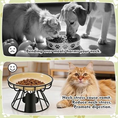 Shallow Cat Dishes with Metal Stand,Elevated Cat Bowl,Ceramic Cat Bowls,Raised Cat Food Bowls,Pet Feeder for Indoor Cats,Kitten and Small Dogs, Dishwasher Safe - Image 4