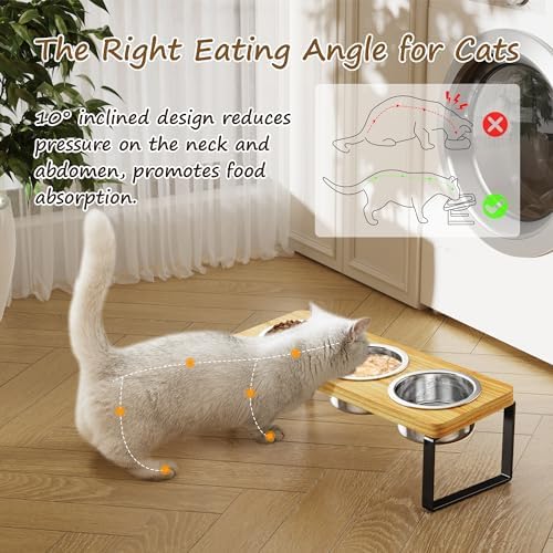 Elevated Cat Bowls with 3 Stainless Steel Bowls | 10° Tilted Anti-Vomiting Raised Cat Food Bowl for Small Cats and Puppies Pet Bowl with Stand - Image 6
