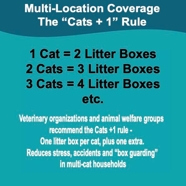 Disposable Cat Litter Box, 5-Pack (Jumbo) – Extra Thick & Sturdy, Leak Resistant, No Scrubbing, Odor Resistant, Biodegradable Recycled Cardboard – Multi-Location Coverage
