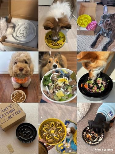 LE TAUCI Ceramic Slow Feeder Dog Bowls Small Breed, 0.6 Cups Dog Food Dish for Fast Eaters, Puzzle Bowl for Small Dogs and Cats,Skull Black - Image 2