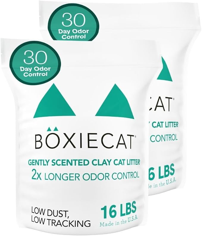 Boxiecat Cat Litter, Clumping, 32lbs, Gently Scented | 30 Day Odor Control | Clay | 2 Pack
