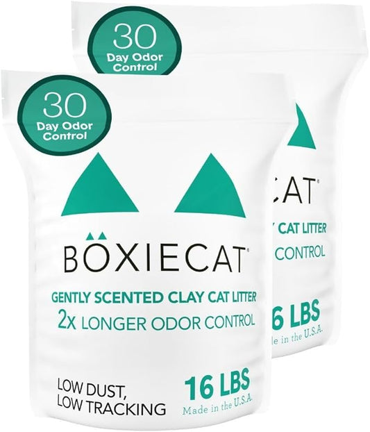 Boxiecat Cat Litter, Clumping, 32lbs, Gently Scented | 30 Day Odor Control | Clay | 2 Pack
