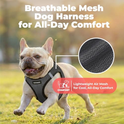 Voyager Step-in Air Dog Vest Harness - Gray 2-Tone, X-Large - Image 5