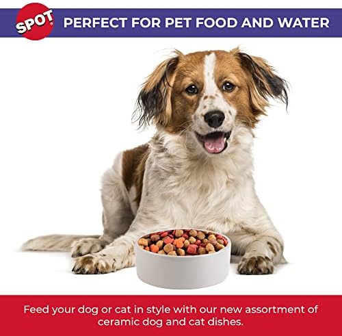 SPOT Ceramic Stoneware- Pet Bowl for Medium and Large Dogs, Classic Heavy Duty Non-Slip Ceramic Bowl for Food and Water - 7.5in Diameter - Image 4