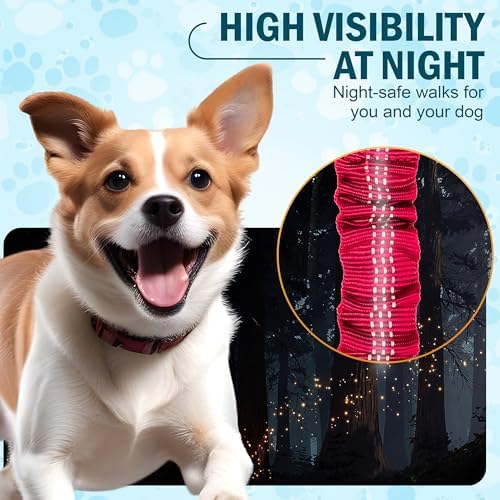 Hands Free Dog Leash for 2 Dogs, Waist Leash with Dual Bungee - Image 6