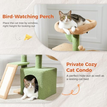 PETEPELA Cactus Cat Tree for Kittens & Small Cats, 32in Cat Tower,Green - Image 3