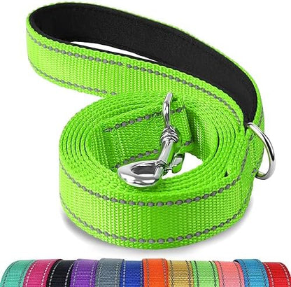 Joytale Reflective Dog Leash for Small Dogs, 5 FT x 3/4", Green by Joytale