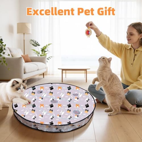 Interactive Cat Toy for Indoor Cats-Hide and Seek Cat Toy with 5-Holes Mat,Automatic Cat Toy Ball with Mouse Squeak in Pouch,Rechargeable Kitten Toy,Motion Activated Ball - Image 7