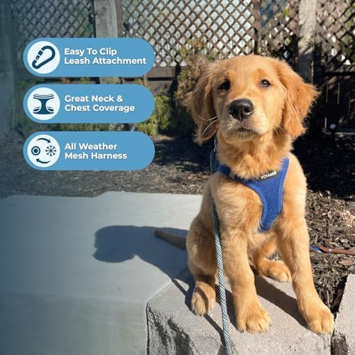 Best Pet Supplies Voyager Step-in Air All Weather Mesh Harness and Reflective Dog 5ft Leash Combo with Neoprene Handle, for Small, Medium and Large Breed Puppies - Royal Blue, Large - Image 5