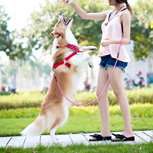 MayPaw 4/6 /8/10 FT Dog Leash, Classic Solid Colors, Strong Nylon Rope Dog Leash Reinforced with Leather Tailor Connection Heavy Duty Silver Clasp (Pink, 8ft*1/2")