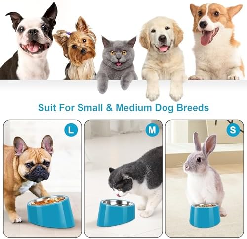 Tilted Dog Bowl Non-Slip & Non-Spill Pet Feeder with Elevated Detachable Melamine Stand, Easy to Get Food Dog Dish, S/100ml Blue - Image 3
