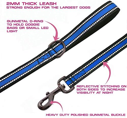JSXD Heavy Duty Double Handle Dog Leash - 5 FT with Comfortable Padded and Reflective Rope, Suitable for Small, Medium, Large Dogs (Wide-Blue) - Image 3