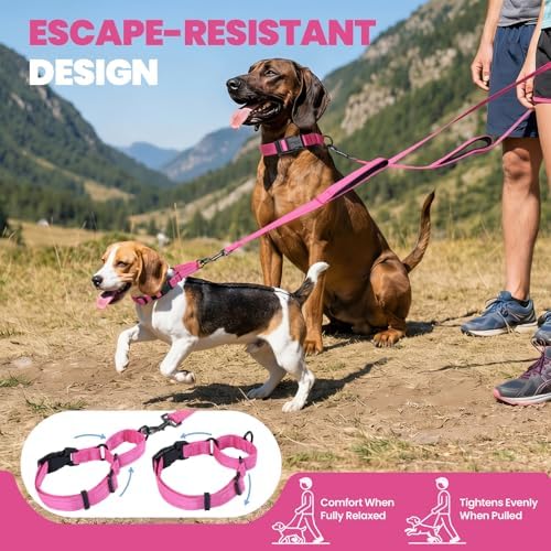 VIVAGLORY Double Handle Dog Leash Twingrip, 5ft x 1in, L, Pink - Image 2