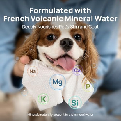 HICC PET Dog Wipes for Dogs & Cats, French Mineral Water, 440 Count - Image 3
