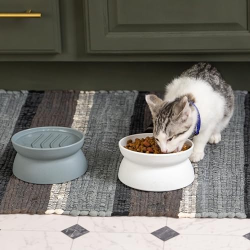 Kitty City Elevated Slow Feeder Cat Bowls (Set of 2), Whisker-Friendly Raised Cat Food Dishes with Ridges, Helps Reduce Fast Eating & Digestion Issues, Dishwasher Safe, 10.8 oz – White & Gray - Image 4