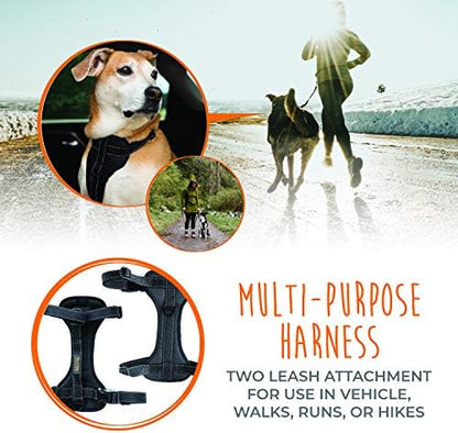 Mighty Paw Dog Car Harness - Vehicle Safety Gear - 2 Leash Attachment - Adjustable Straps - Reflective Stitching - Soft Padding - Standard Harness Functionality - No Pull Front Leash Attachment - L - Image 6