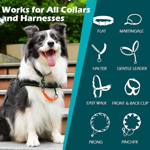 PetBonus Dog Collar Safety Clip, Handmade Prong Collar to Harness Connector - Image 3
