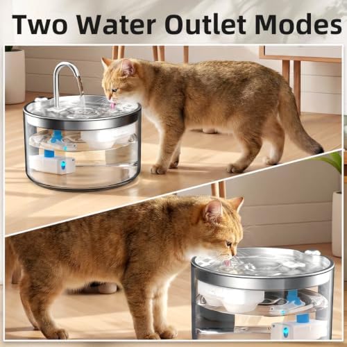 Casfuy PWB-004 Quiet BPA-Free Cat Water Fountain with Glass Base & Stainless Steel Tray, 95-oz - Image 6
