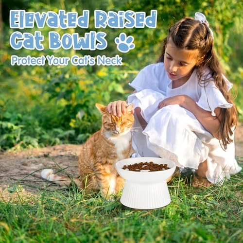 Tioncy 2 Pcs Ceramic Elevated Slow Feeder Cat Bowl, Dark Green, White - Image 6
