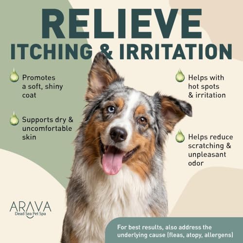 Arava Natural Medicated Dog Shampoo – Anti Yeast Anti Itch Dog Shampoo - Healthy Skin & Coat - First Aid in Hot Spots Ringworm Scrapes Abrasions & Dermatologic Infections - 400ml / 13.5 fl oz - Image 6