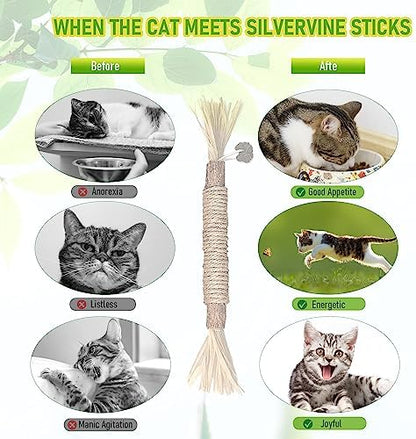 BAWAN Silvervine Sticks Cat Chew Toys for Indoor Cats Dental Care Teeth Cleaning, Natural Kitten & Cat Teething Toys for Health, Cat Chew Stick Suitable for All Breeds of Aggressive Chewers Cat - Image 5